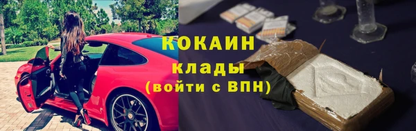 дмт Алзамай