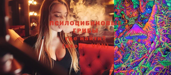 дмт Алзамай