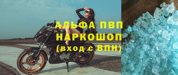 дмт Алзамай