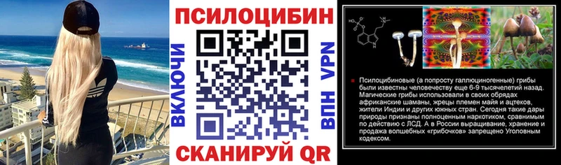 Псилоцибиновые грибы мицелий Катав-Ивановск
